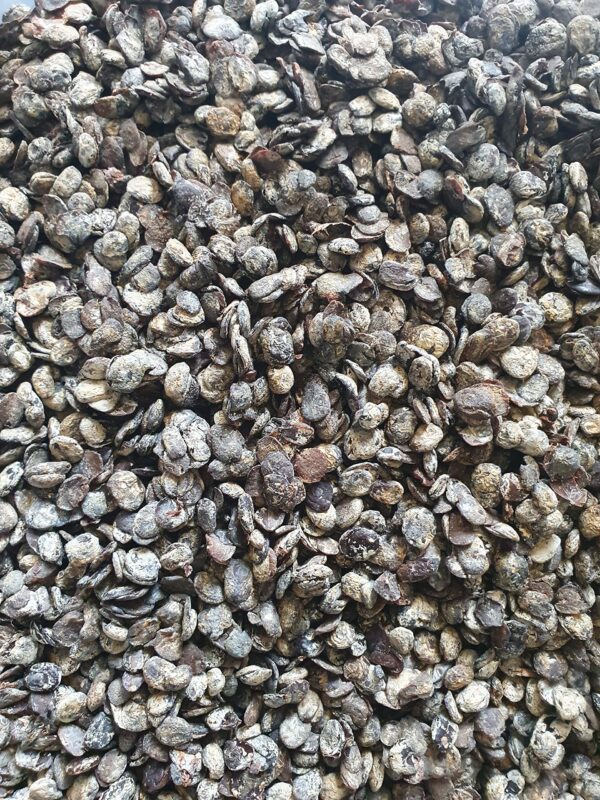 Locust Beans