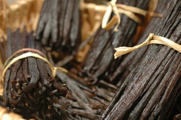 Organic Vanilla Beans