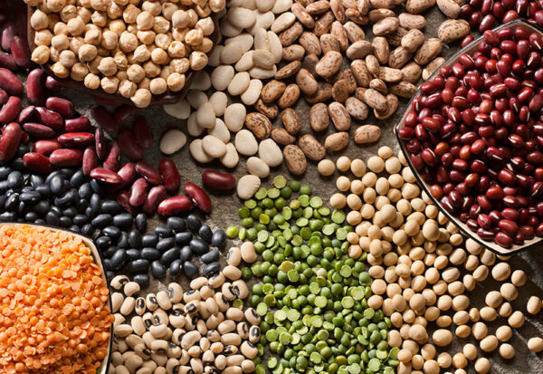 Lentil Beans