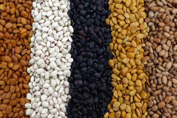 Tepary Beans
