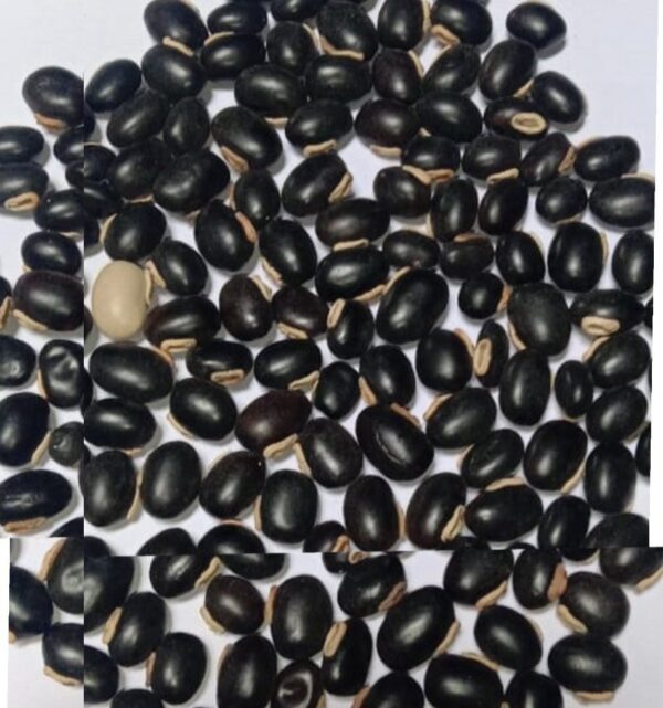 Velvet Beans
