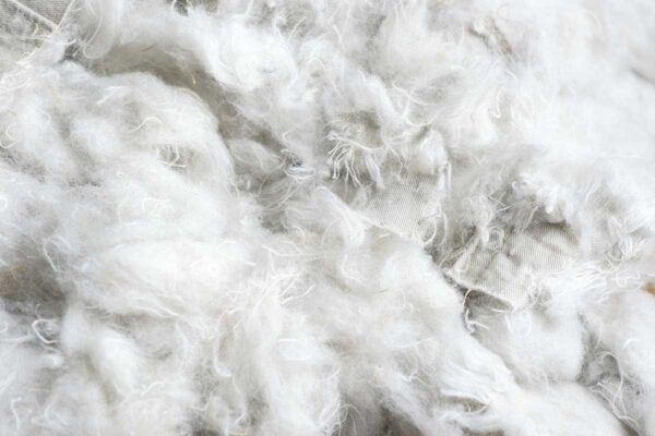 White Fibers